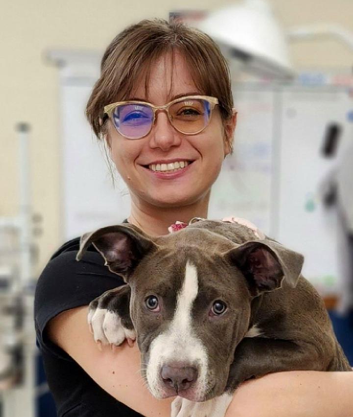 Dr. Victoria Capo, DVM Horton Animal HospitalNortheast